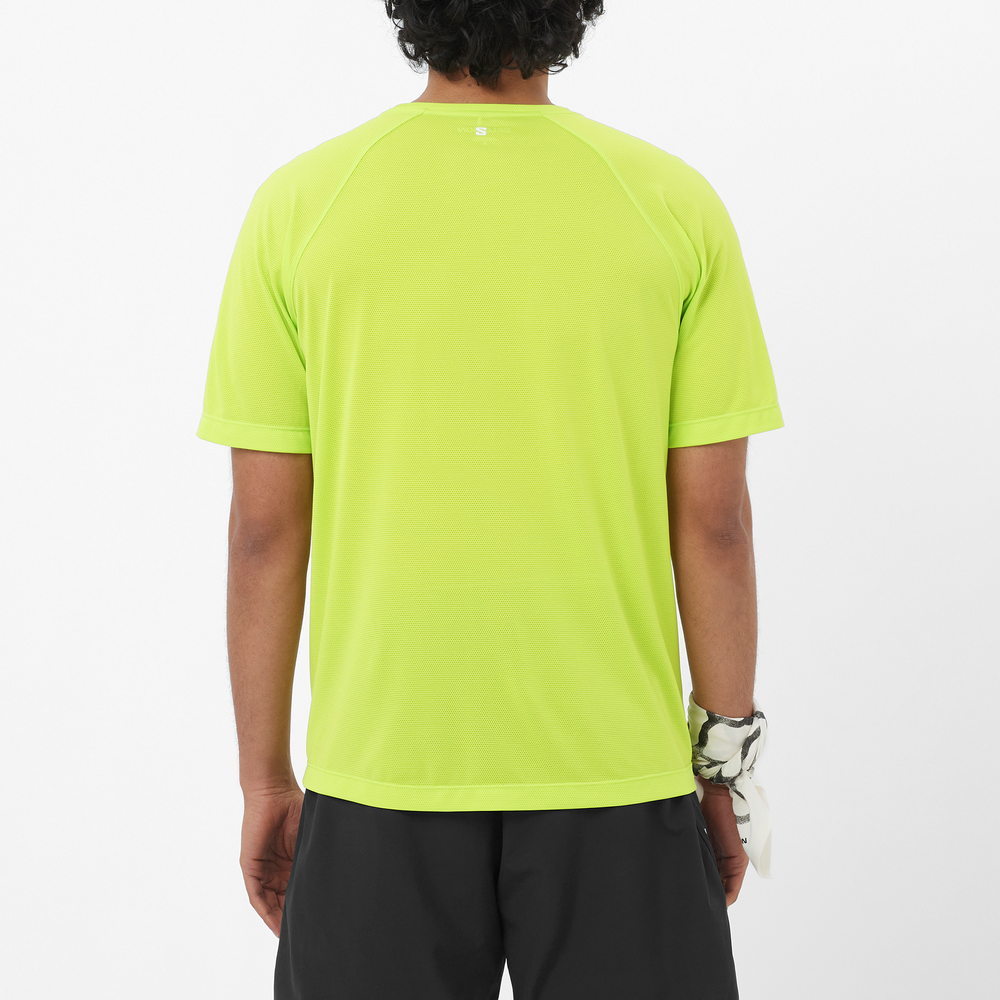 SHAKEout CORE