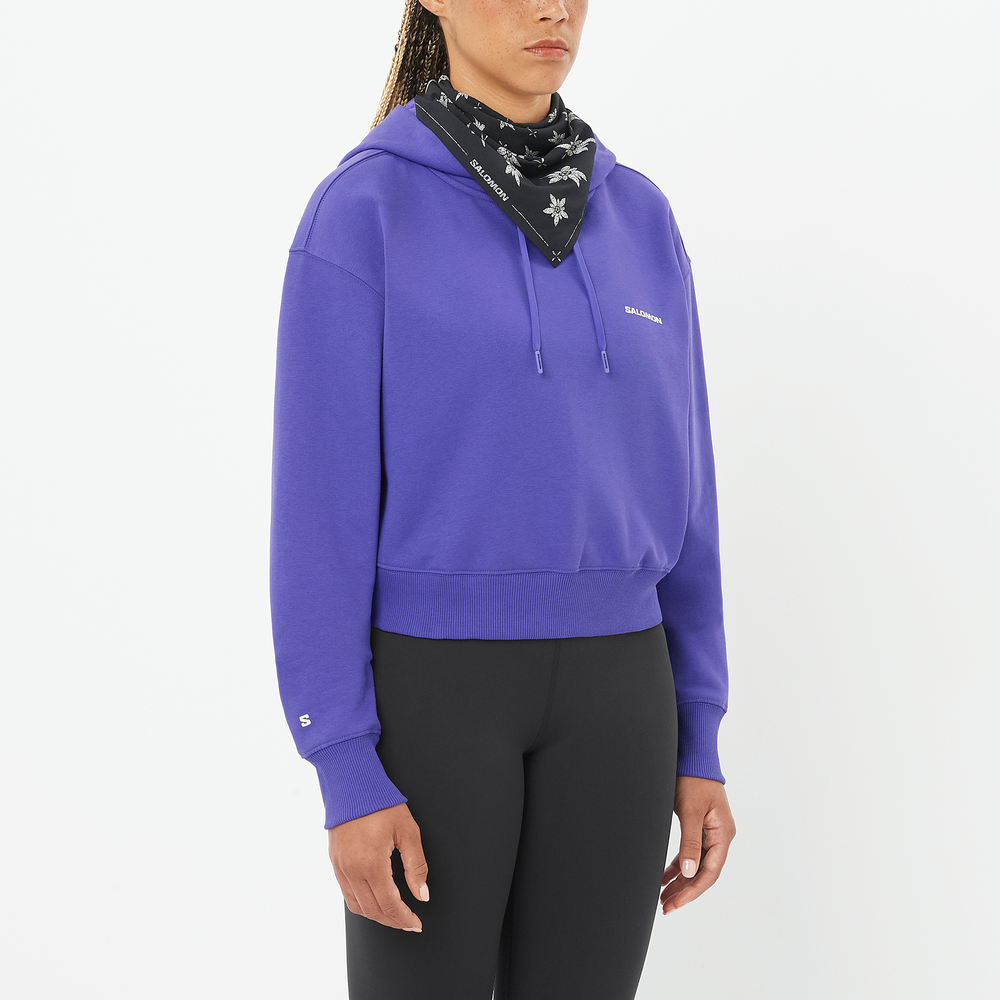 SHORT HOODIE