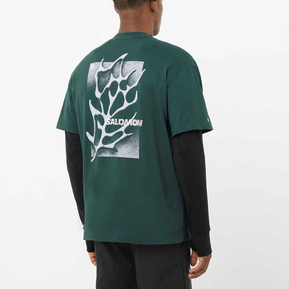 FREESTYLE - Image 4