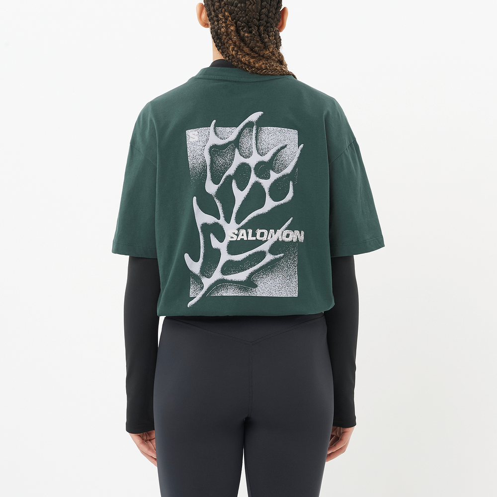 FREESTYLE - Image 6