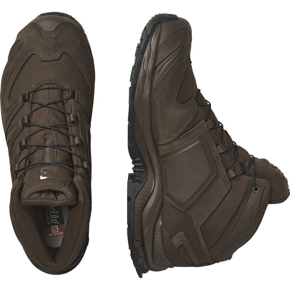 XA FORCES MID EN - Image 2