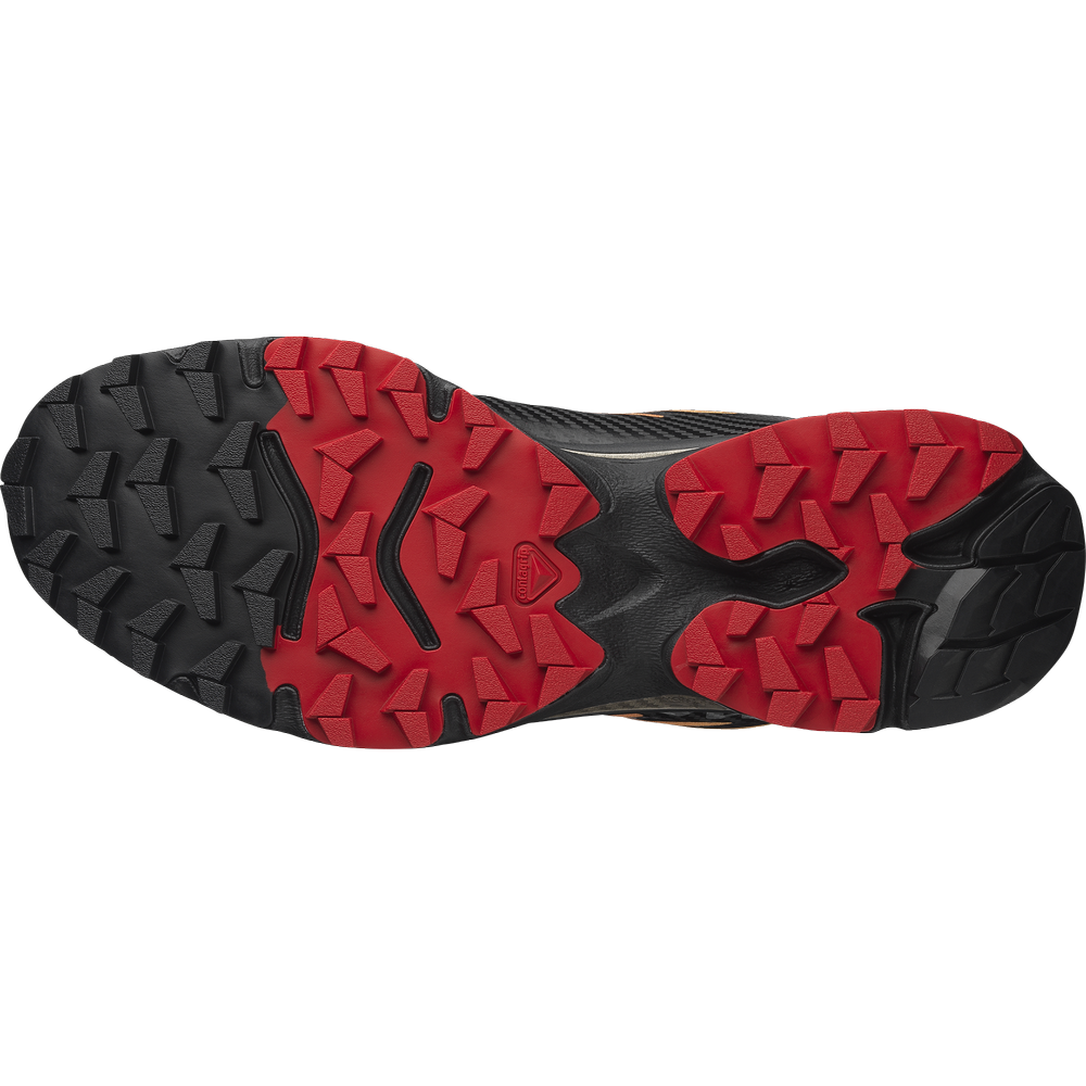 XT-4 OG - Image 5